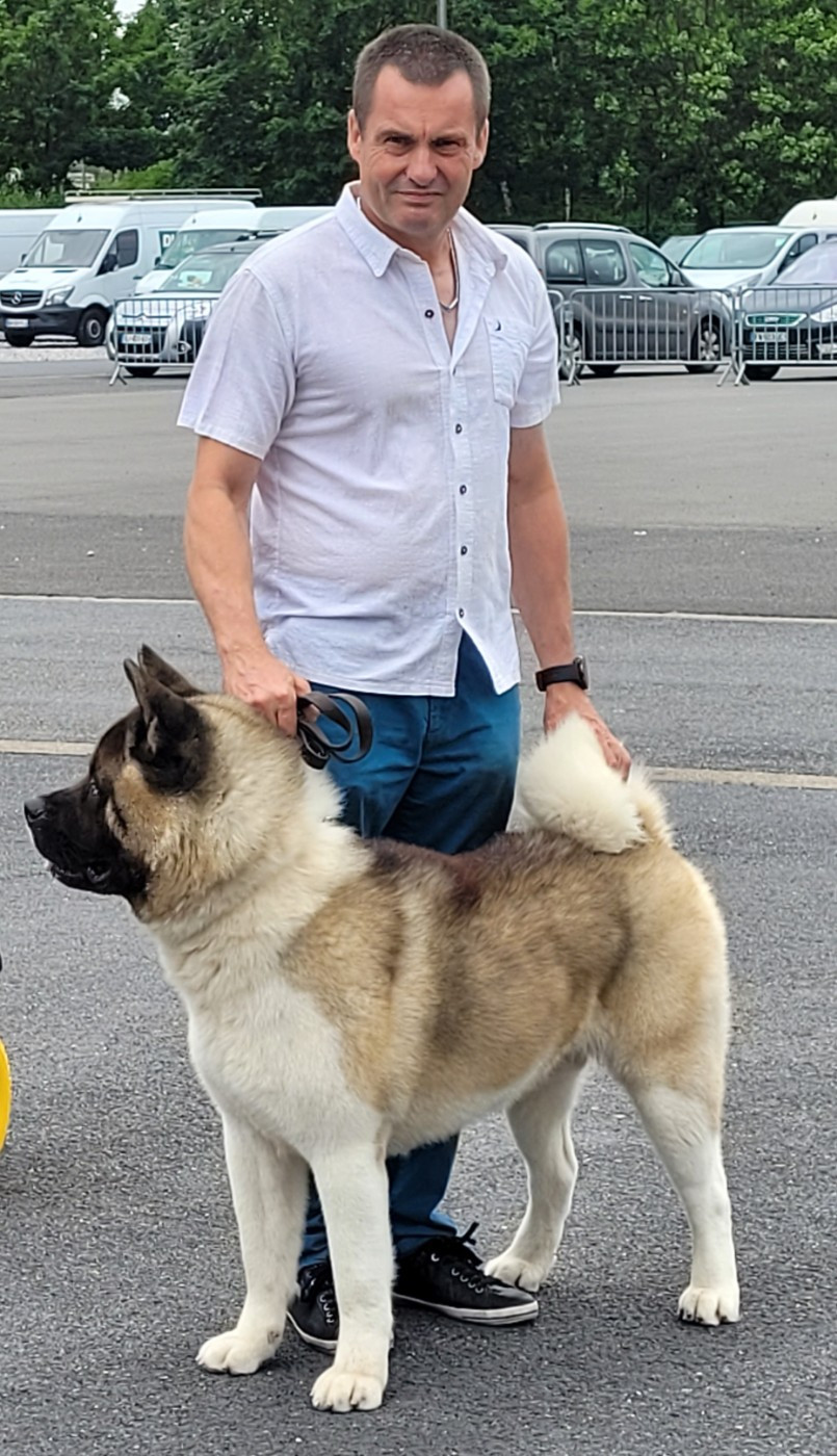 Too musch The jade pearls